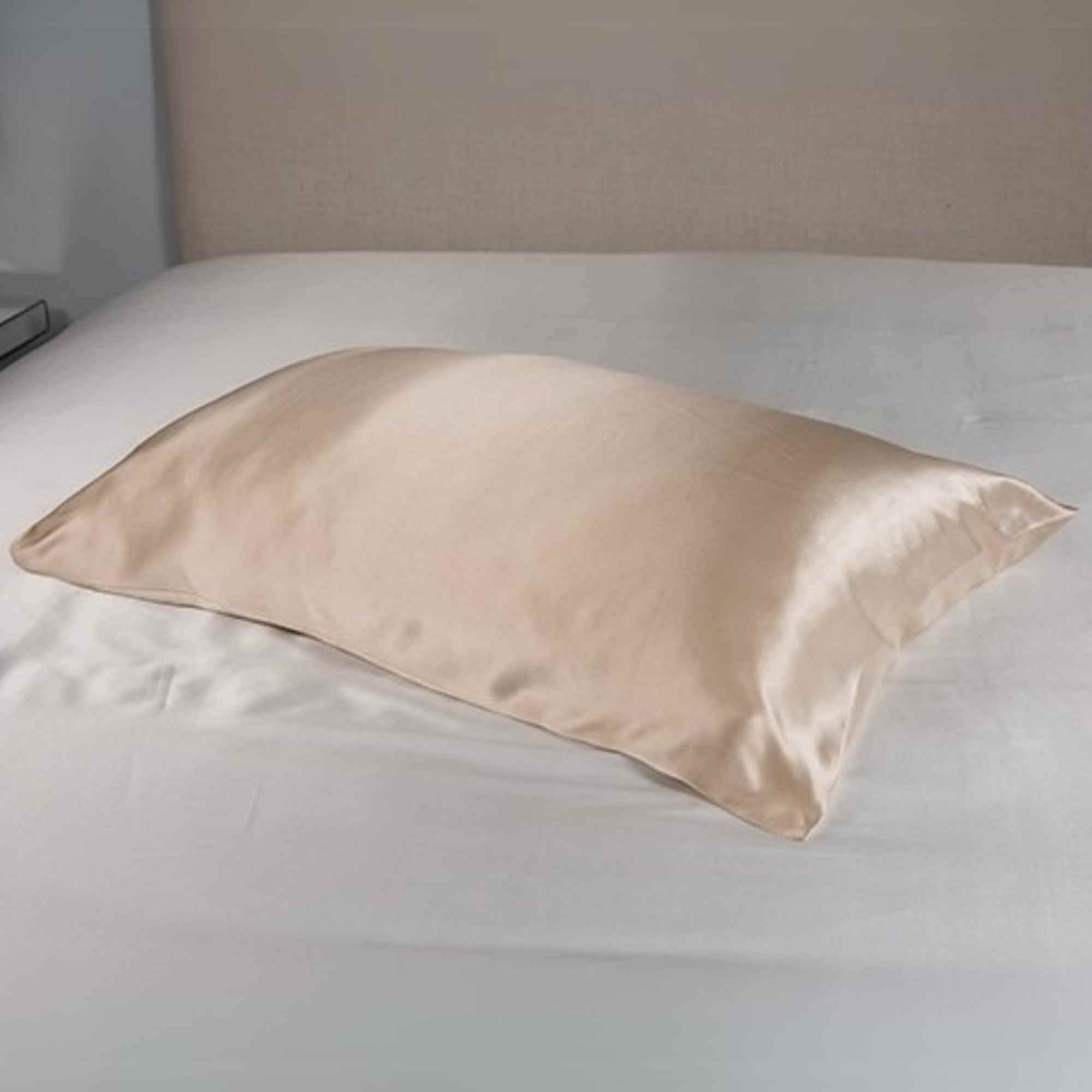 25 momme Mulberry Silk Housewife Pillowcase