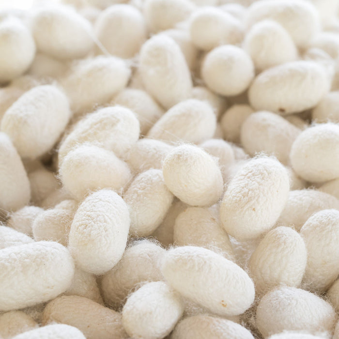 What is 'Mulberry' Silk