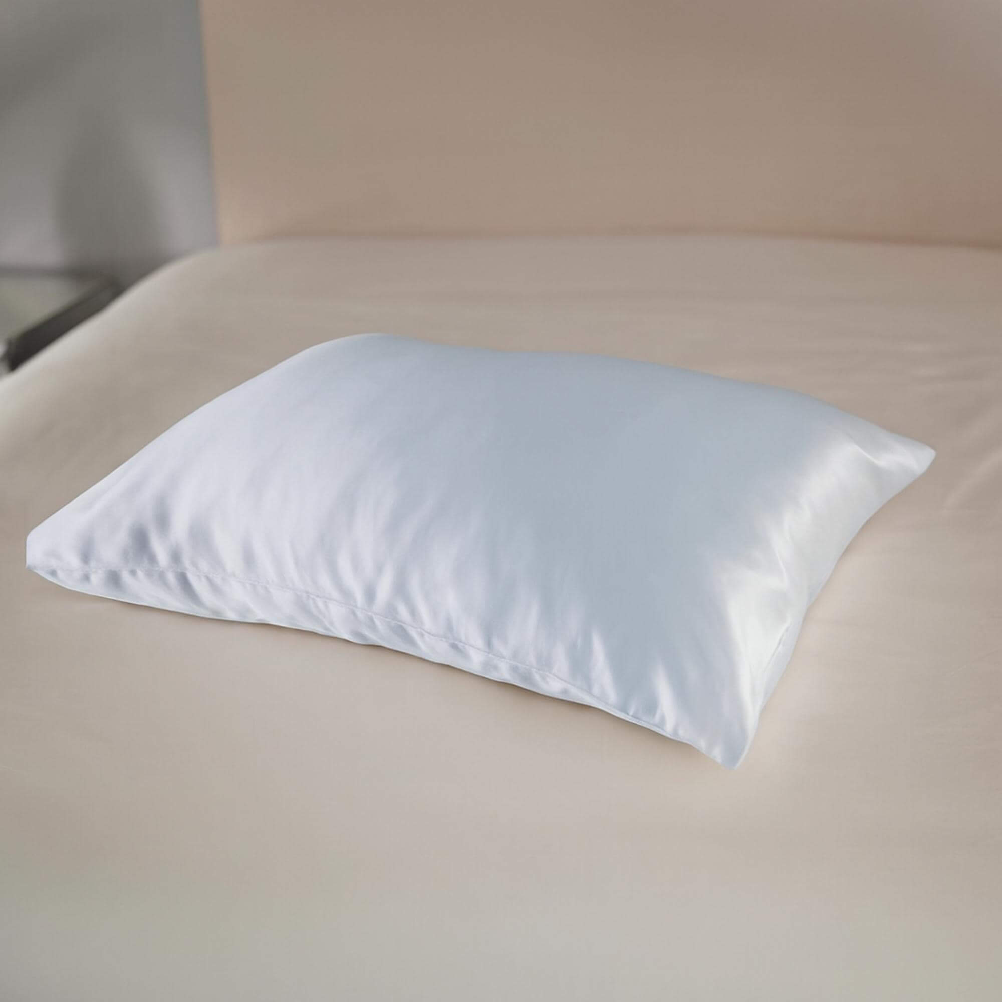 25 momme Mulberry Silk Housewife Pillowcase