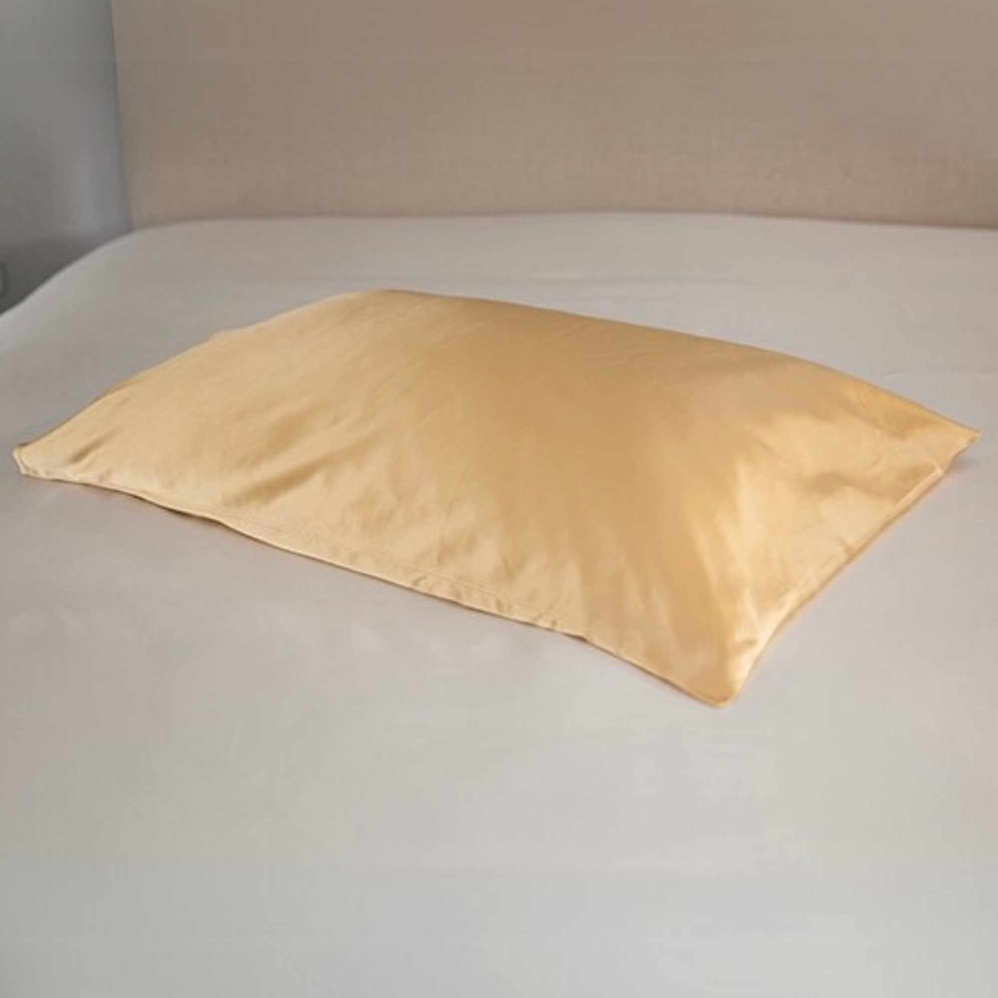 25 momme Mulberry Silk Housewife Pillowcase