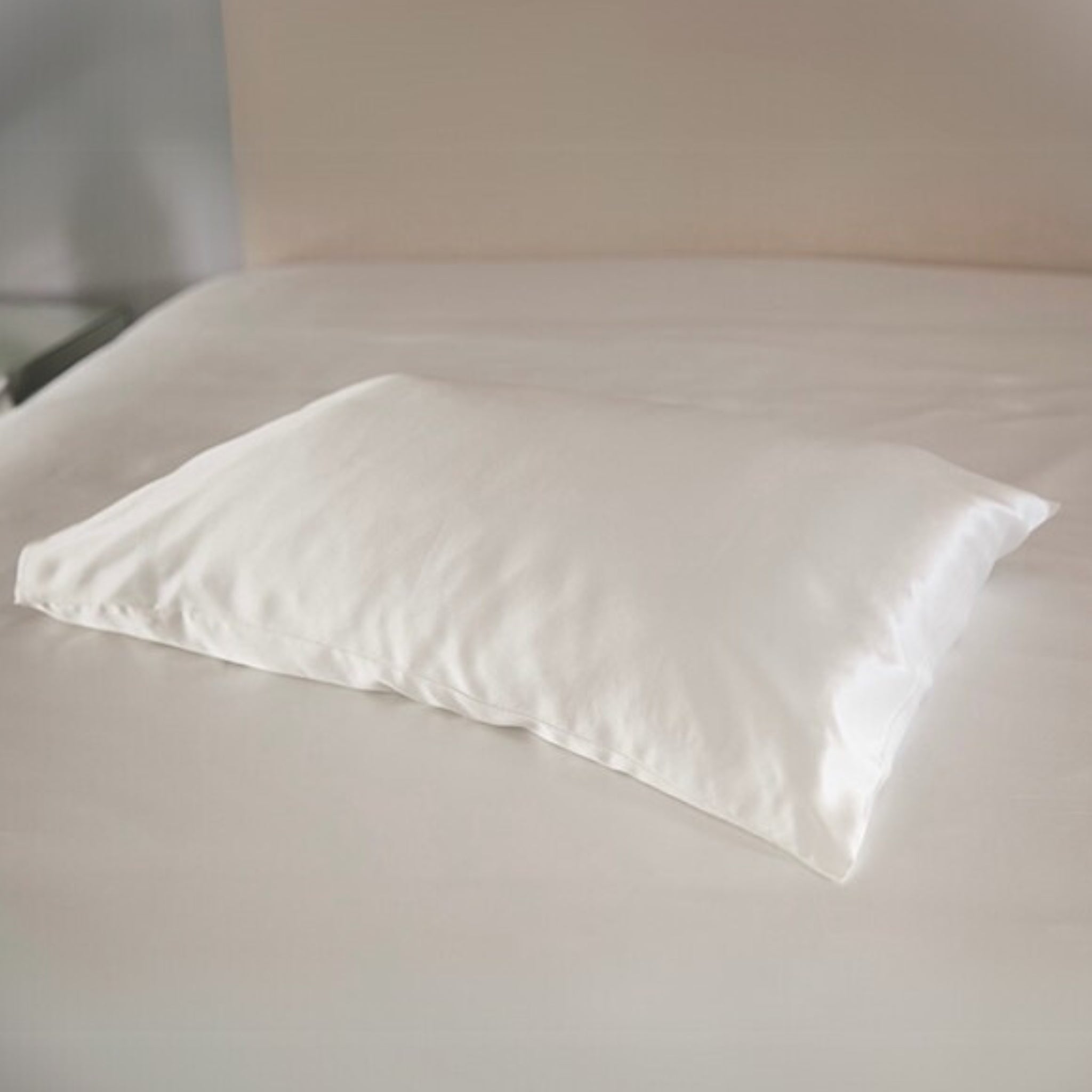 25 momme Mulberry Silk Housewife Pillowcase