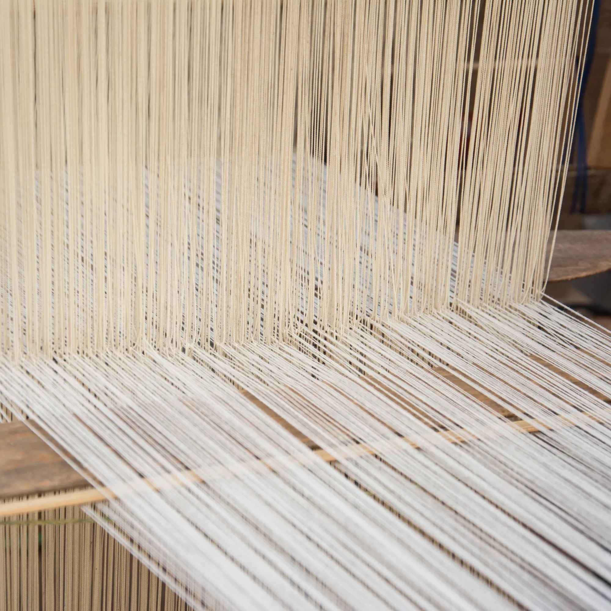 Close-up of a loom with silk threads being woven